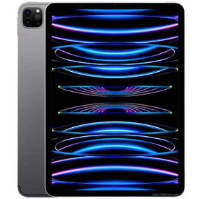 iPad Pro 11 4ta Gen Wi-Fi